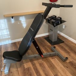 Power Block Sport Bench With Dip Attachment