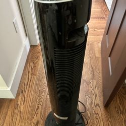 Standing Oscillating Fan