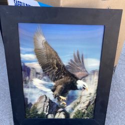 Eagle Artwork
