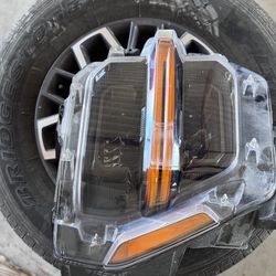 2025 f150 oem headlight