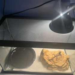 10 Gallon Tank And LID PLUS MORE 