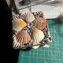 Seashell Box 