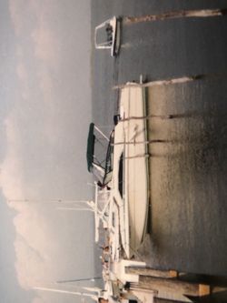 1981 Sea Ray 25 foot boat