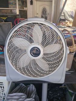 Electric Fan