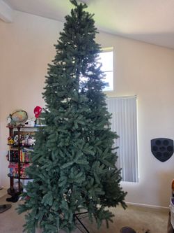 12ft tree