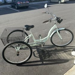 Schwinn 3 Wheel Bike