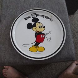 Disney world Plate