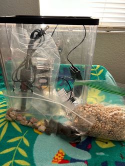 fish tank full set up