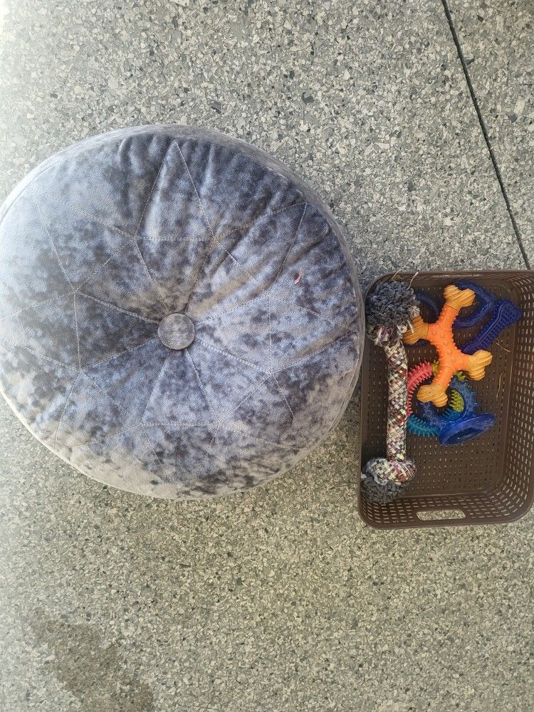 Dog Bed & Toys