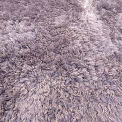High End Rug Paid Over $300.00