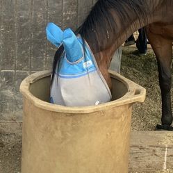 Horse Porter Grazer Feeder 