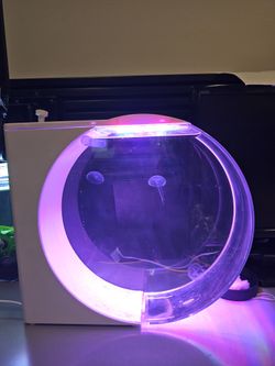 Jellifish tank.