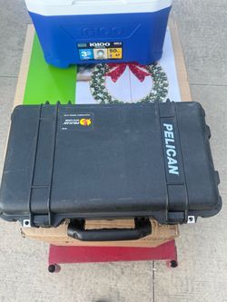 Pelican 1510 case with organizer