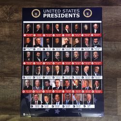 Presidents Of USA POSTER