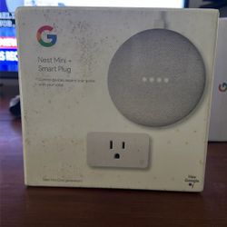 Google. Nest Mini And Smart Plug