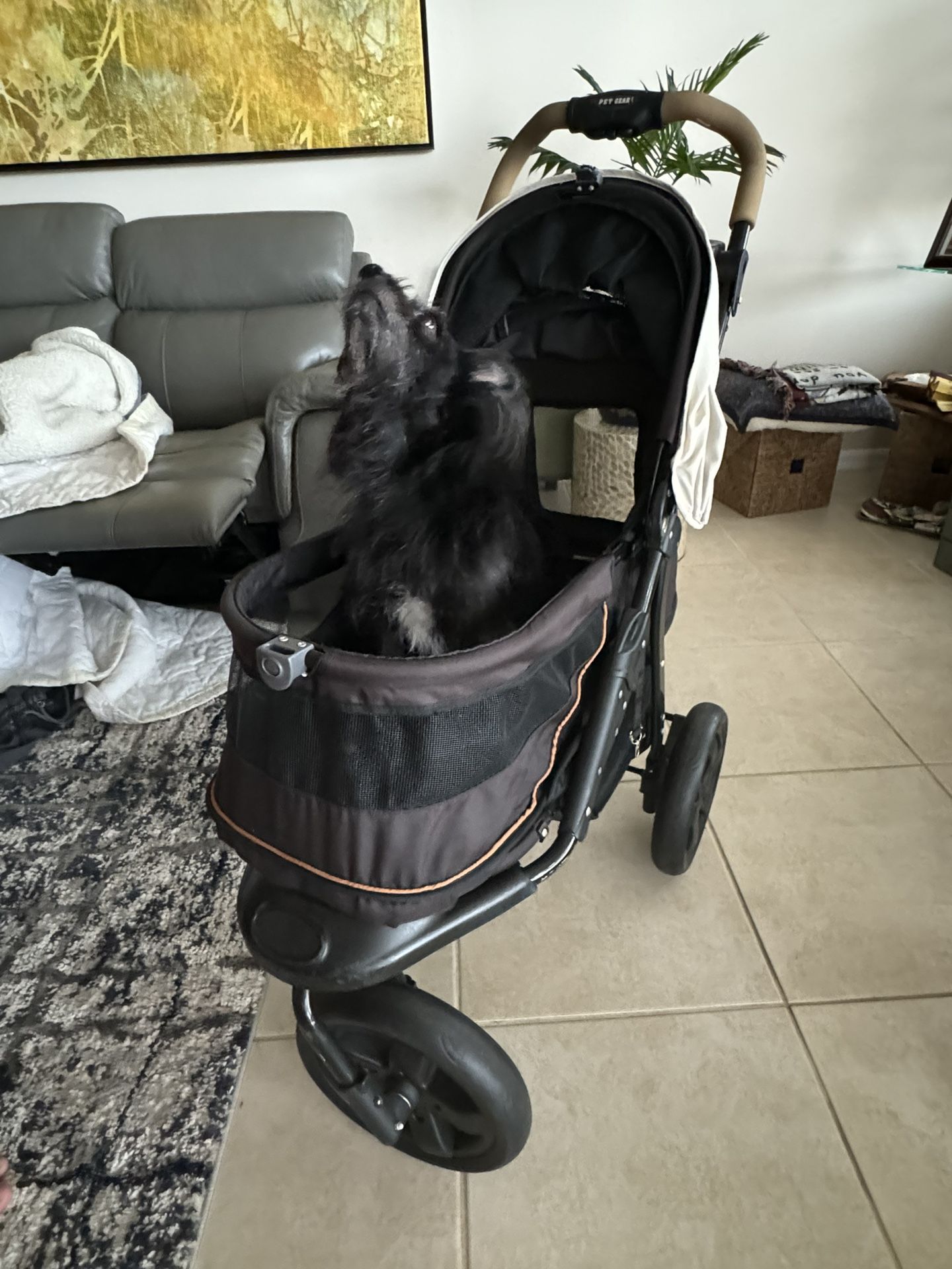 Pet Gear Dog Stroller