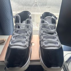 Jordan Retro 11 (2023)DMP Gratitude Size 12