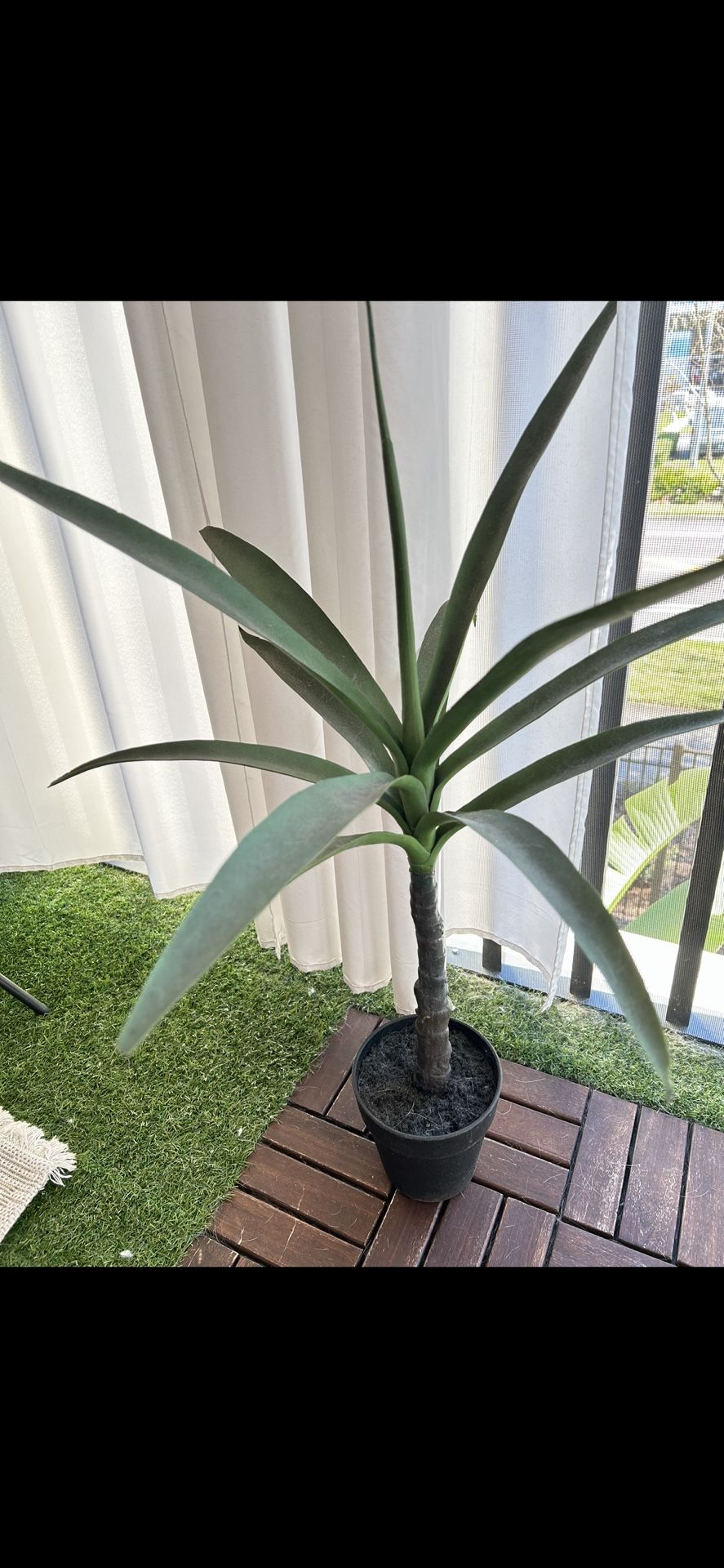 Fake agave Plant 