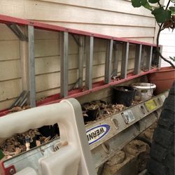 10’ Ladder Good Condition 