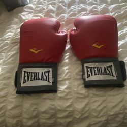 Ever last Boxing Gloves