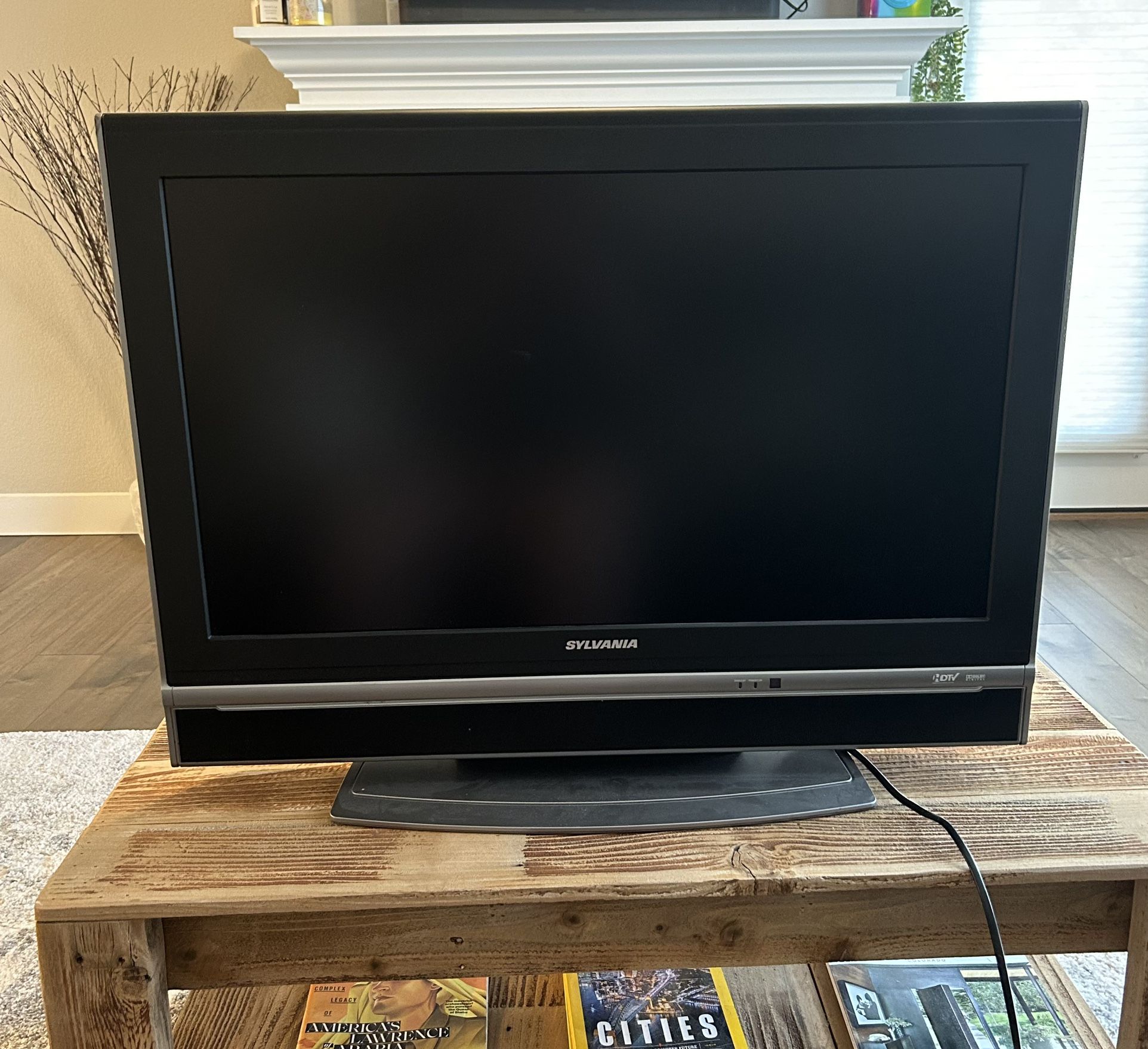 30 Inch TV