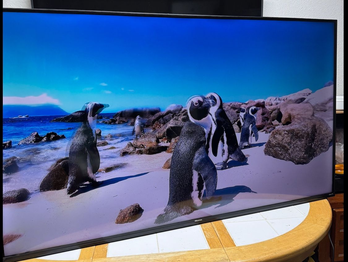 Hisense 55”