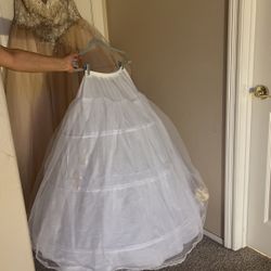Crinoline 