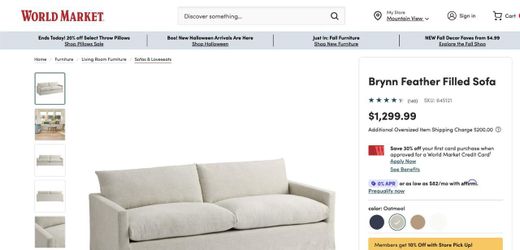 World Market Brynn Feather-Filled Sofa – $600 OBO