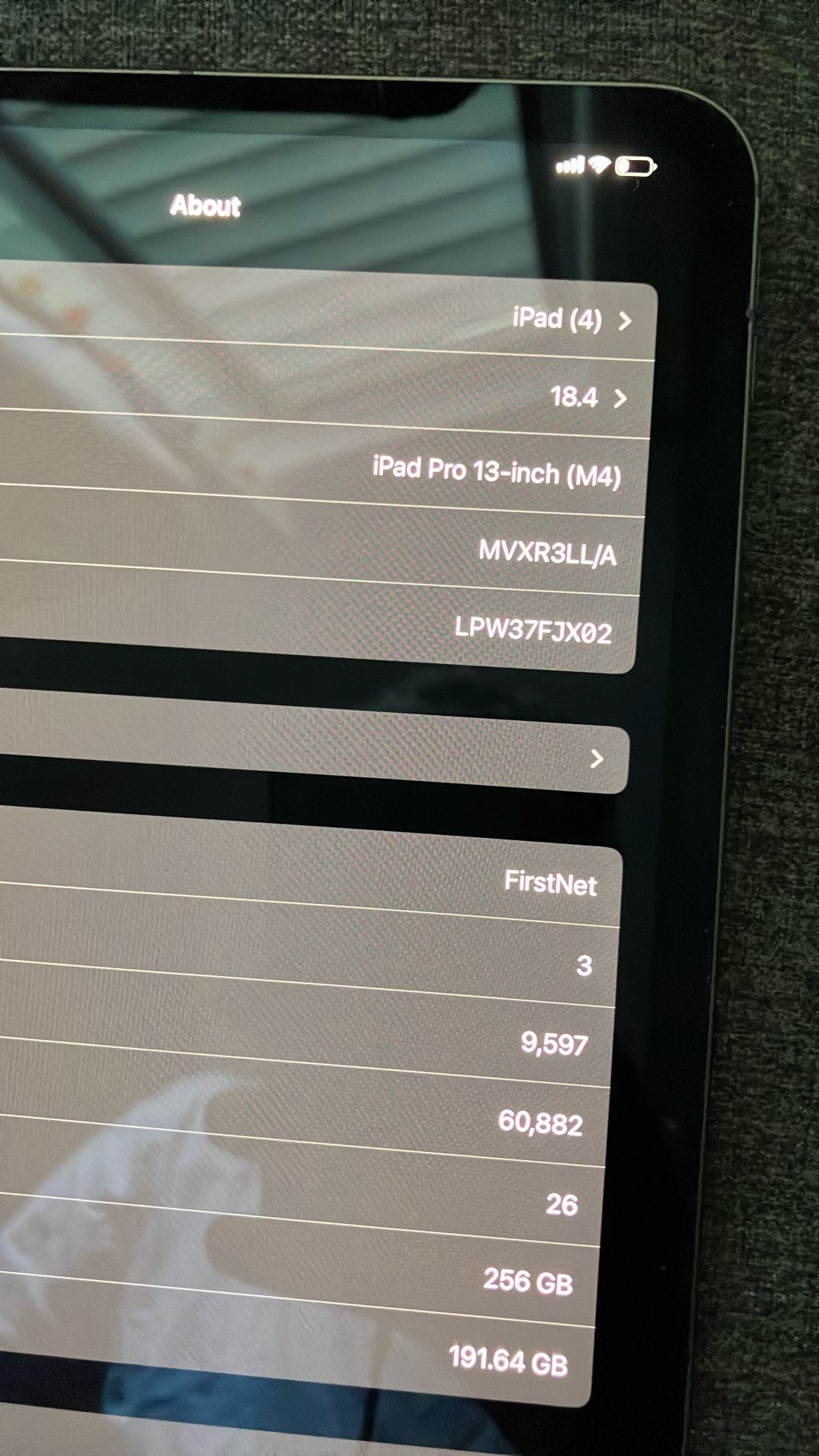 iPad Pro 13’ WiFi And Cellular M4