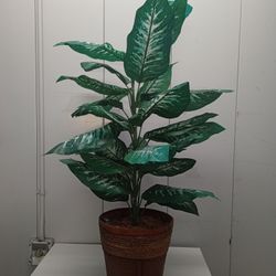 Fake Plant $ 30 In Good Condition With Base