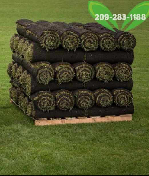 Best QUALITY Sod