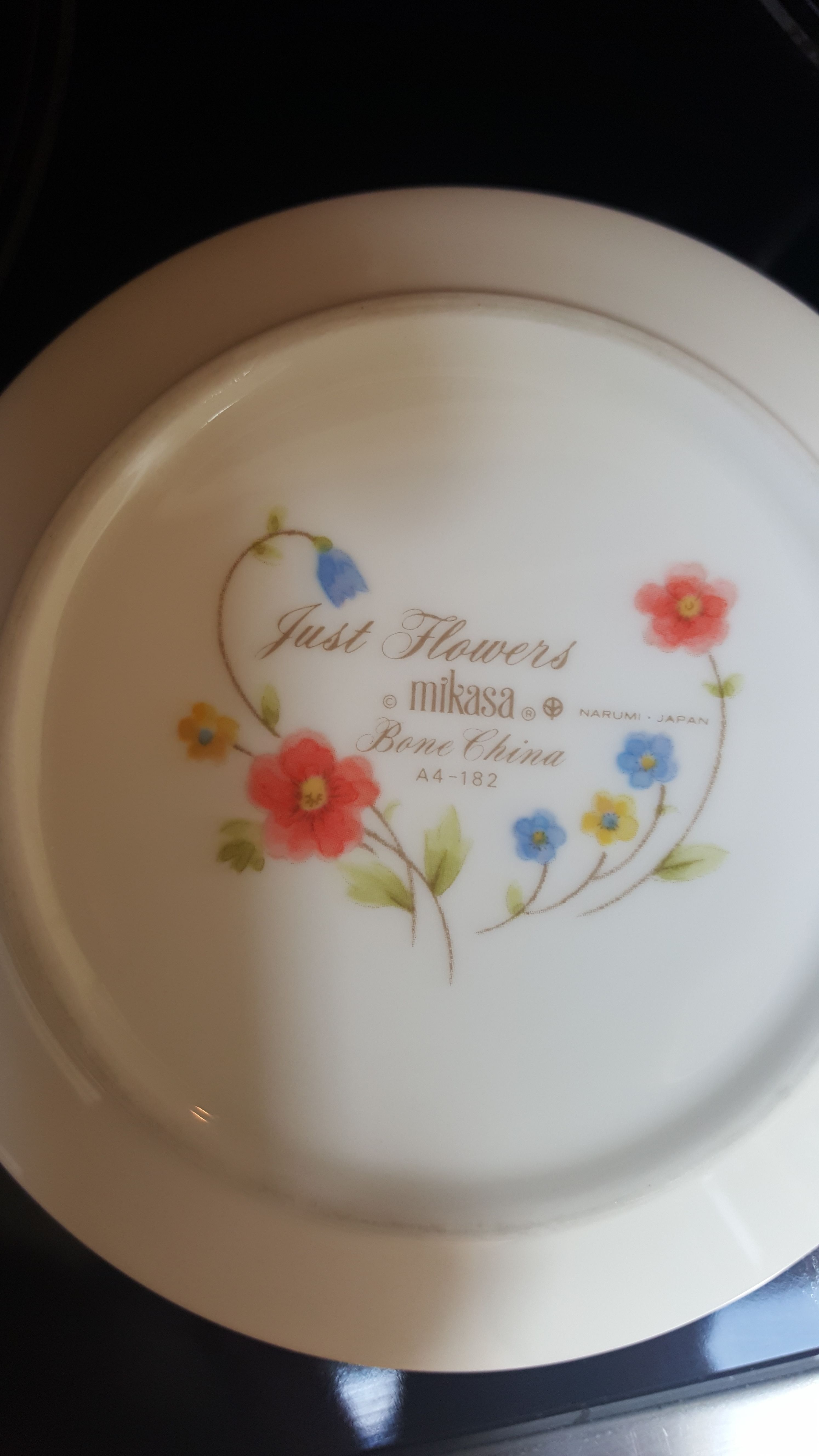 Mikasa Just Flowers Bone China