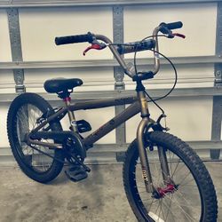 Mongoose 20in Bike BMX 