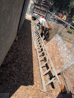 FREE LADDER