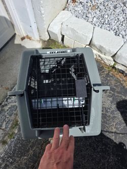 Pet carrier