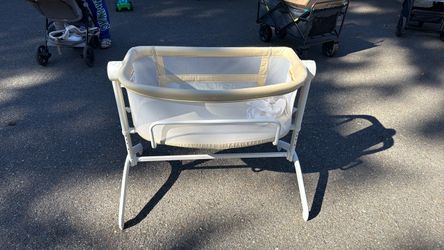 Baby Delight Bassinet