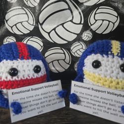 Volleyball Buddy