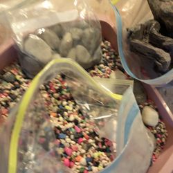 FREE. - Fish Tank Rocks