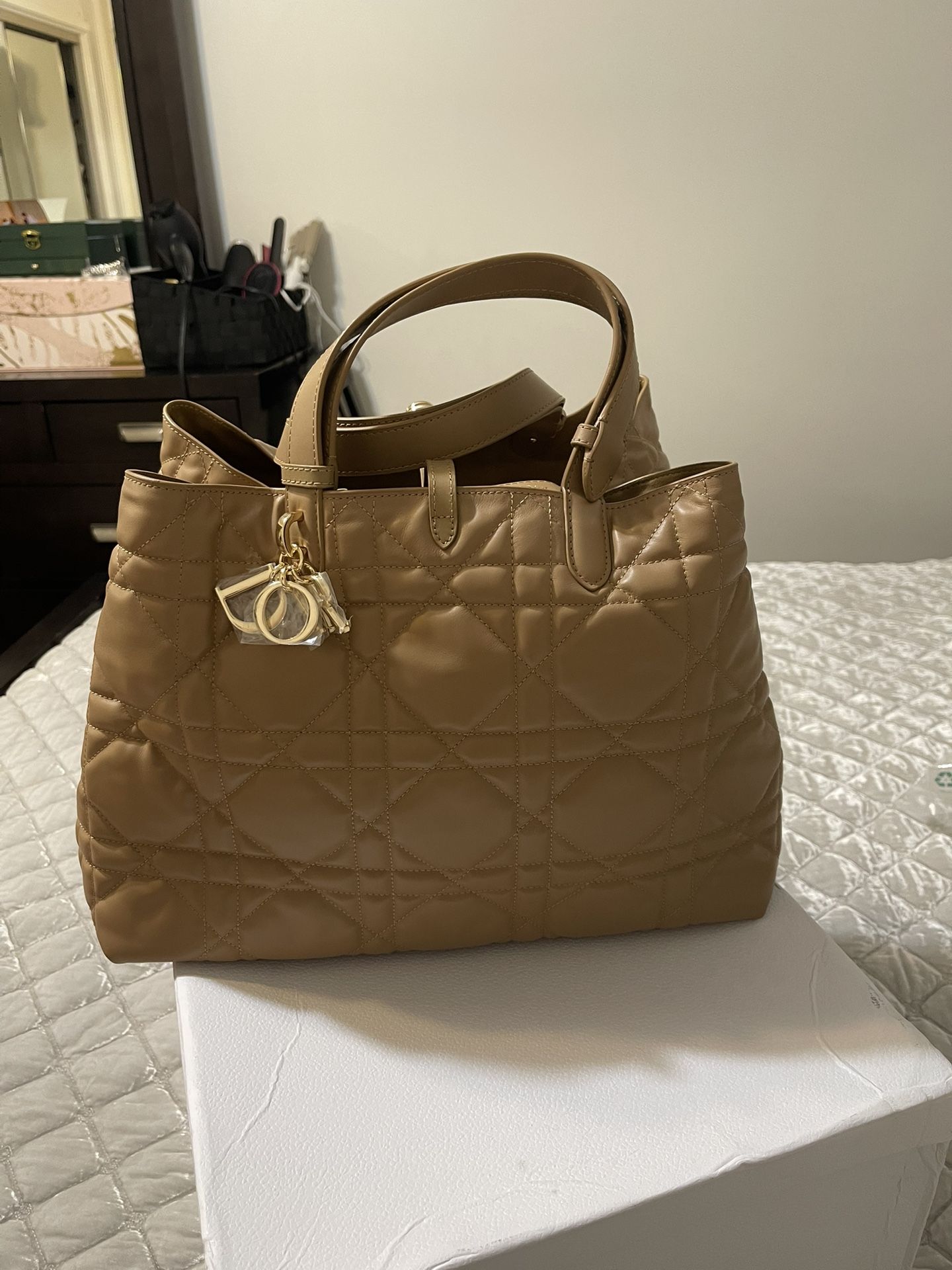 dior bag