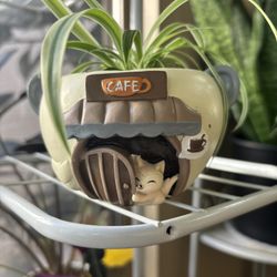 ☕️ Café Vibes in a Pot!