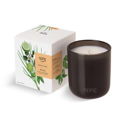 Sprig by Kohler Recharge Aromatherapy Candle with Bergamot and Lemongrass, 100% Natural Soy-Coconut Wax, 8 oz