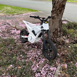 Strike shadow 48v 2025