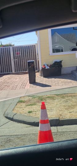 Free Christmas tree and miscellaneous stuff