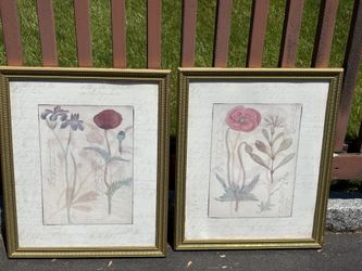 Two Framed Vintage Style Botanical Art Prints Flower Illustrations 22” high x 18” wide
