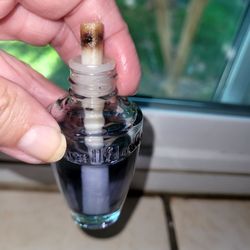 Wallflower plug In - FREE
