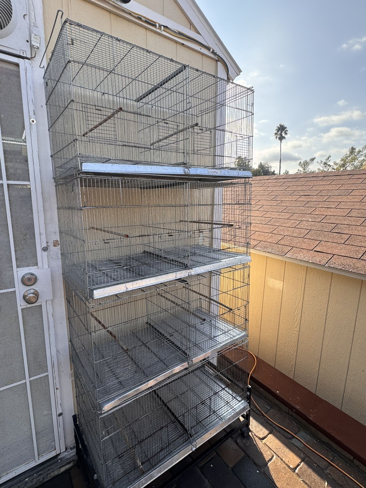 Bird Cage