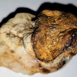 Mixed Speciman Gold Geothite Quartz. Eastern Pennsylvania 