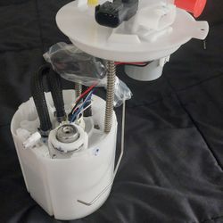 Fuel Pump Assembly