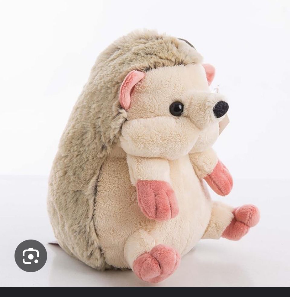 Hedge Hog “Toy”