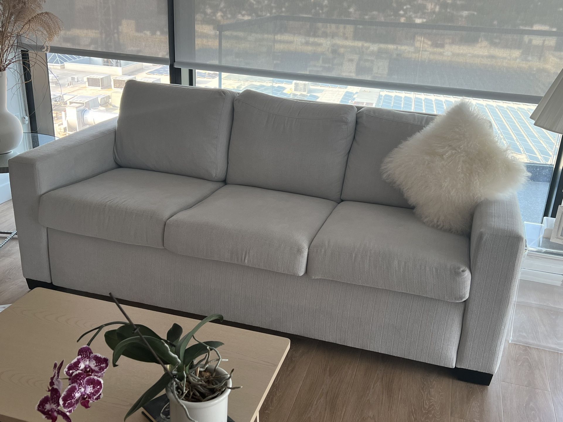 Pull Out Couch - Bought Less Than A Year Ago